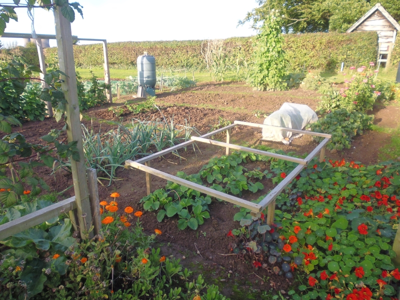 Repton Allotments